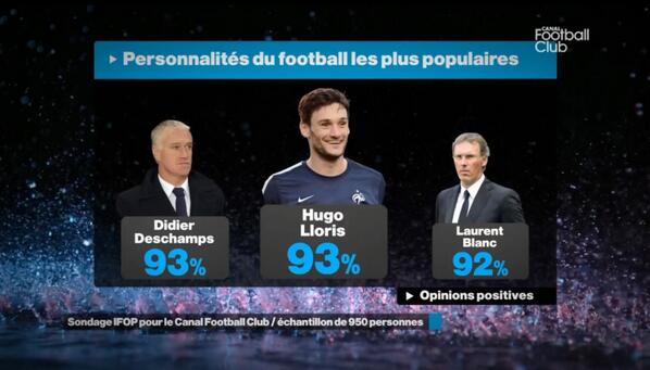 Lloris - sportowiec roku 2013
